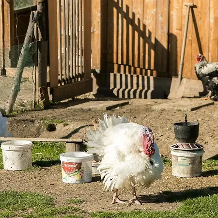 Nydala Rustic Kościelisko