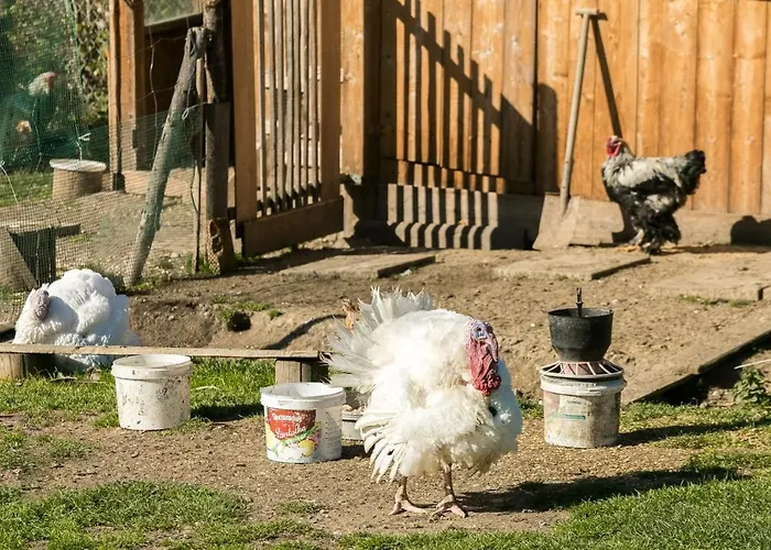 Nydala Rustic Kościelisko